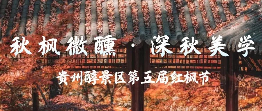 秋枫微醺 ·深秋美学 | 在贵州醇景区里邂逅最解“枫情”的秋