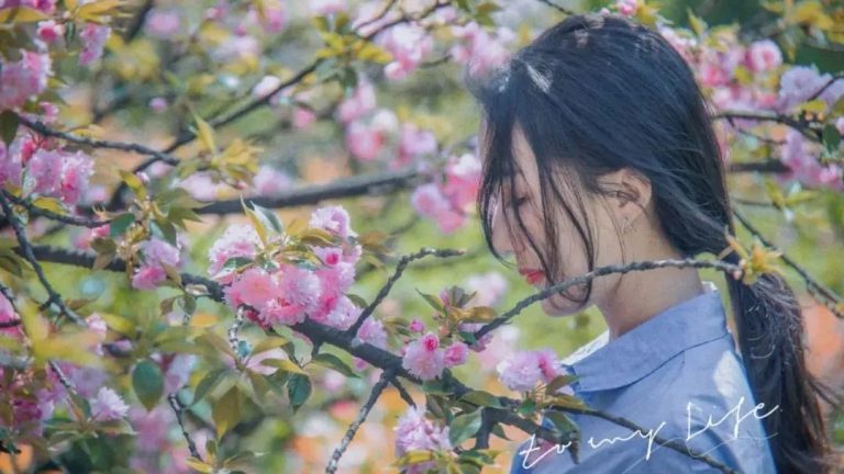 这份「赏樱攻略」，陪你打卡更好玩儿的樱花季！