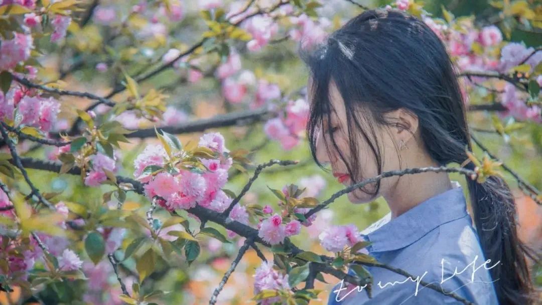 这份「赏樱攻略」，陪你打卡更好玩儿的樱花季！
