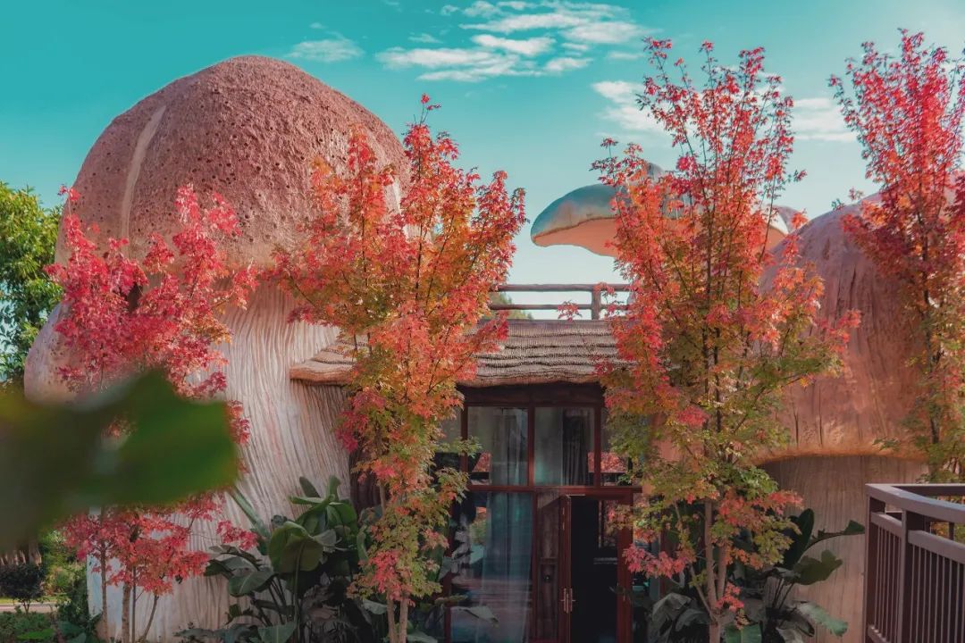 首页