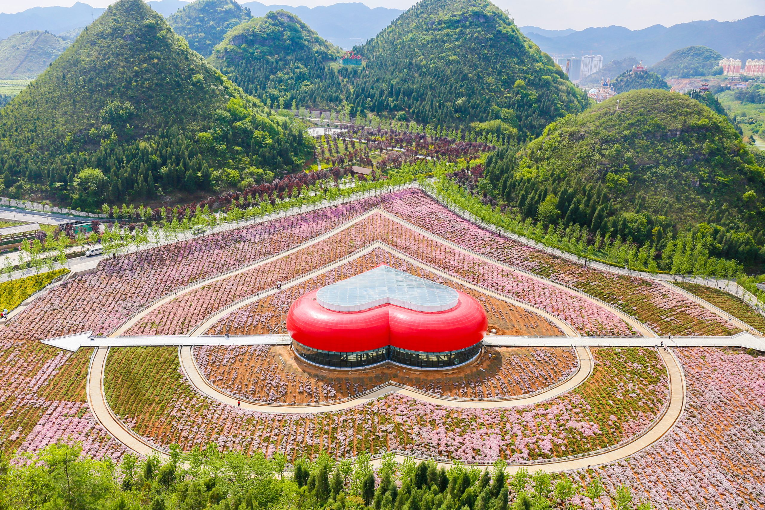 爱心花海